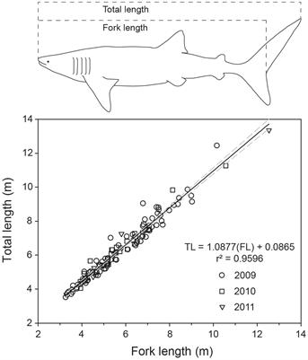 Asymptotic Growth of Whale Sharks Suggests Sex-Specific Life-History Strategies